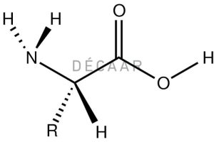 Amino Acid Là Gì? Những Tác Dụng Của Amino Acid Đối Với Da?